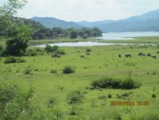 惠東縣新庵…嶂下圍路口….. 相距處. 白盤珠水庫保護區.